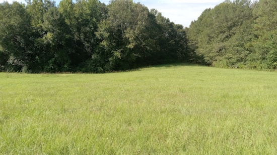 A vast, open field of green grass bordered by a dense line of trees. The sky above is mostly clear with a few white clouds.