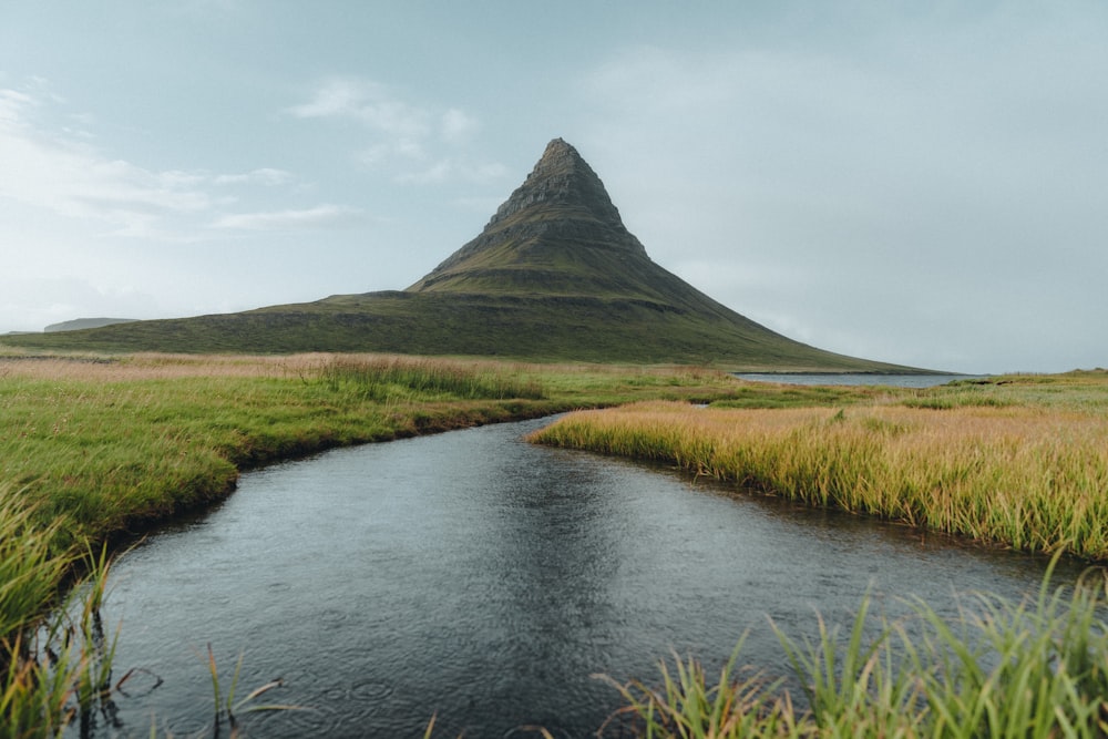 Ein Fluss, der durch ein üppig grünes Feld fließt