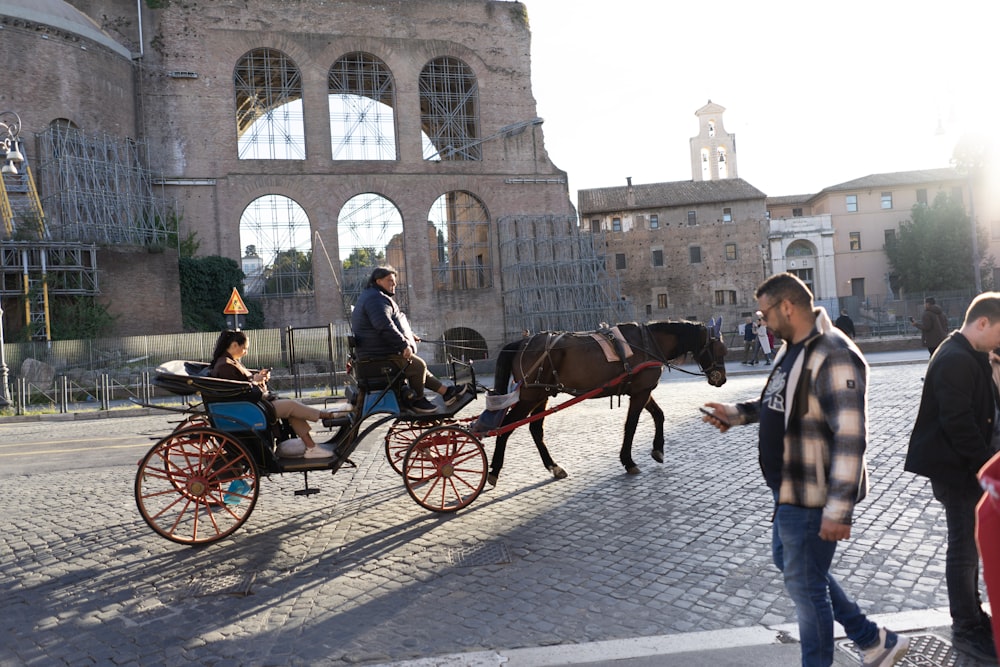 a horse pulling a carriage down a cobblestone street