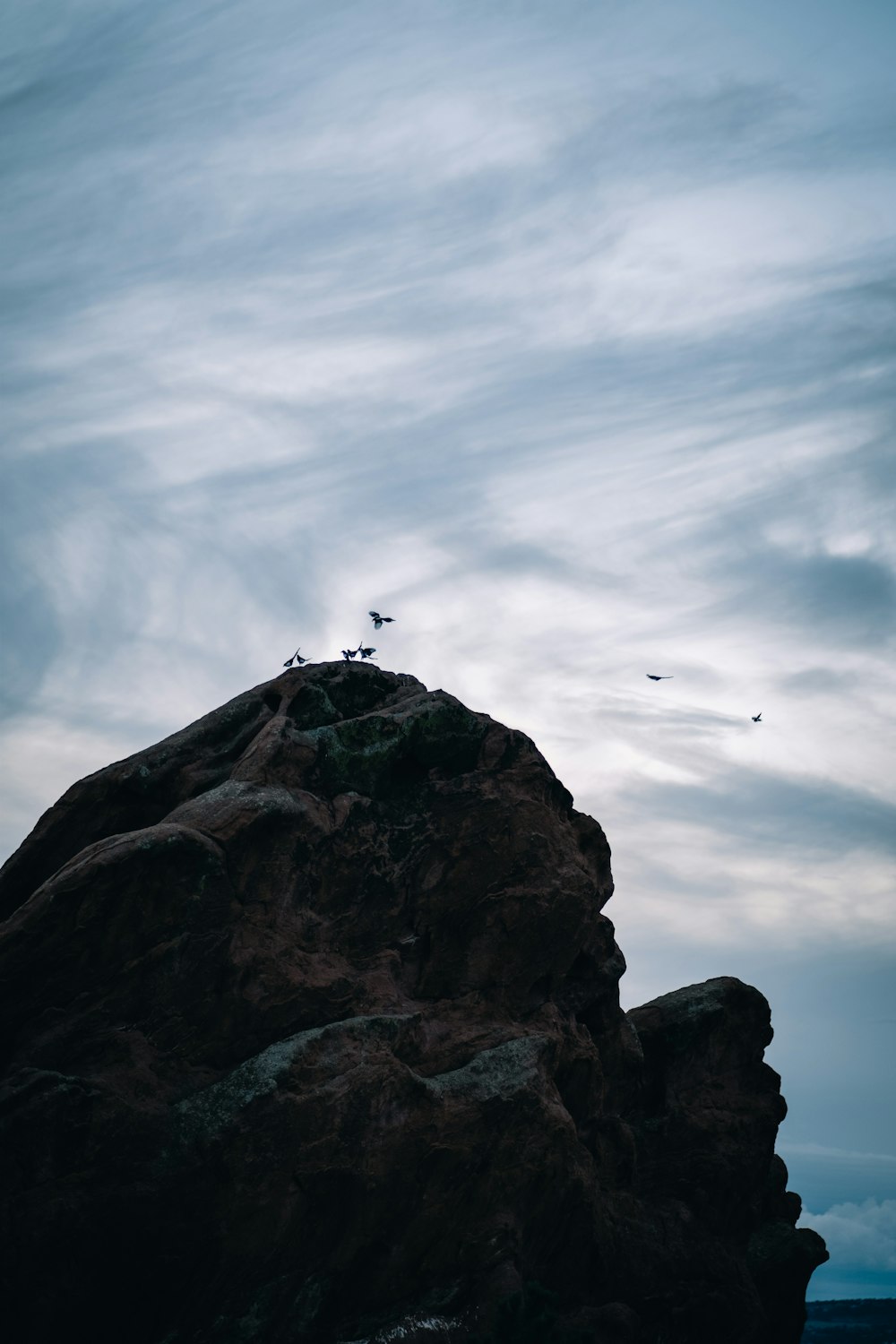 a bird is sitting on top of a rock