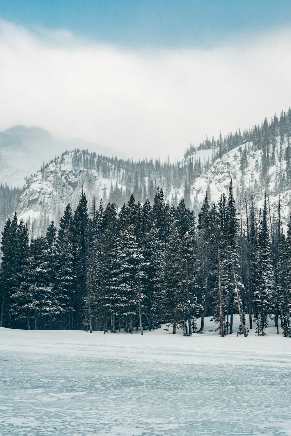 a snow covered mountain with trees in the foreground