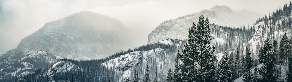 a mountain covered in snow next to a forest