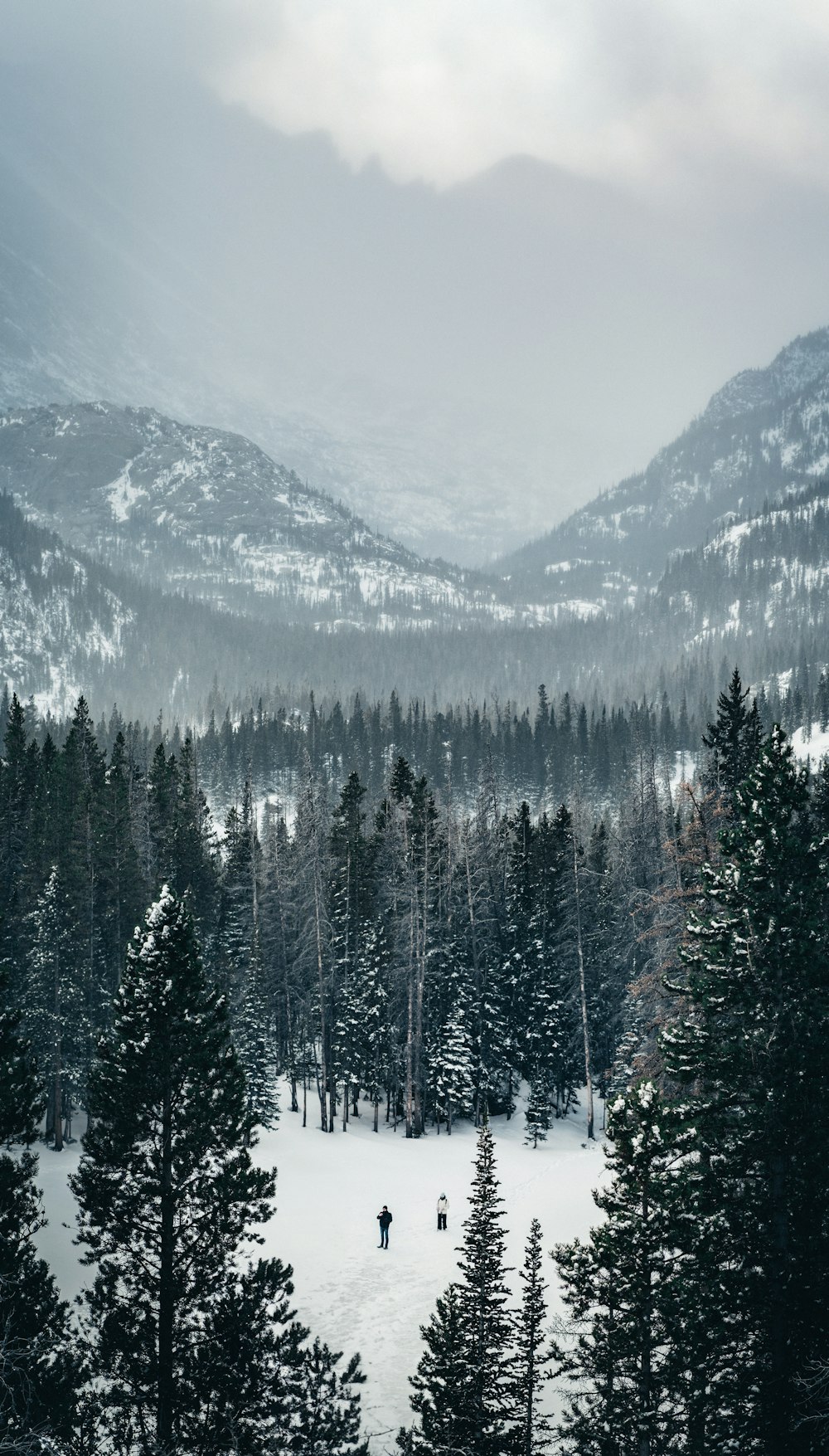 a couple of people walking across a snow covered field