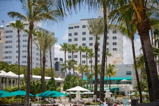 A tropical outdoor setting featuring tall palm trees and modern buildings in the background. There are green umbrellas and white lounging chairs, suggesting a resort or hotel area. The atmosphere is sunny and vibrant.