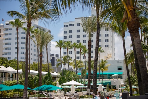 A tropical outdoor setting featuring tall palm trees and modern buildings in the background. There are green umbrellas and white lounging chairs, suggesting a resort or hotel area. The atmosphere is sunny and vibrant.