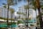 A tropical outdoor setting featuring tall palm trees and modern buildings in the background. There are green umbrellas and white lounging chairs, suggesting a resort or hotel area. The atmosphere is sunny and vibrant.
