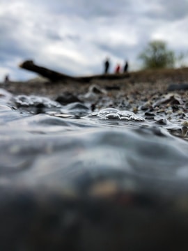 A close-up of seawater being filtered for analysis.