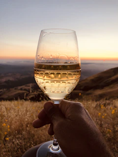 Close-up of a wine glass held against a backdrop of rolling vineyard hills at sunset.