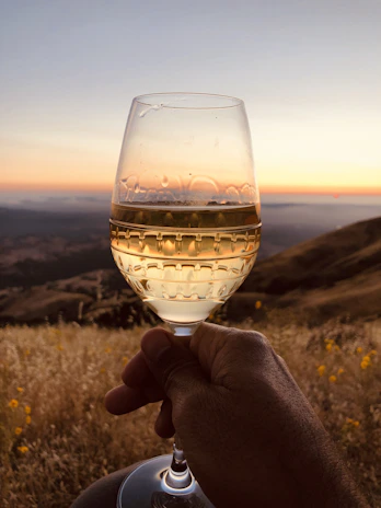 Close-up of a wine glass held against a backdrop of rolling vineyard hills at sunset.