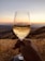 A close-up of a glass of white wine with a vineyard in the background under a warm sunset.