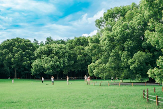 a group of people playing a game of frisbee