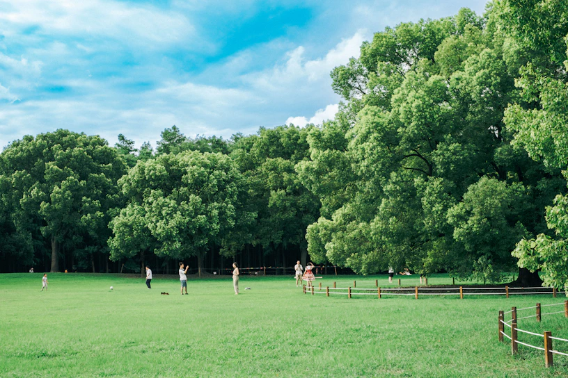 a group of people playing a game of frisbee