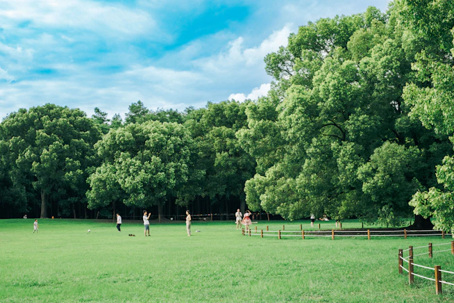 a group of people playing a game of frisbee