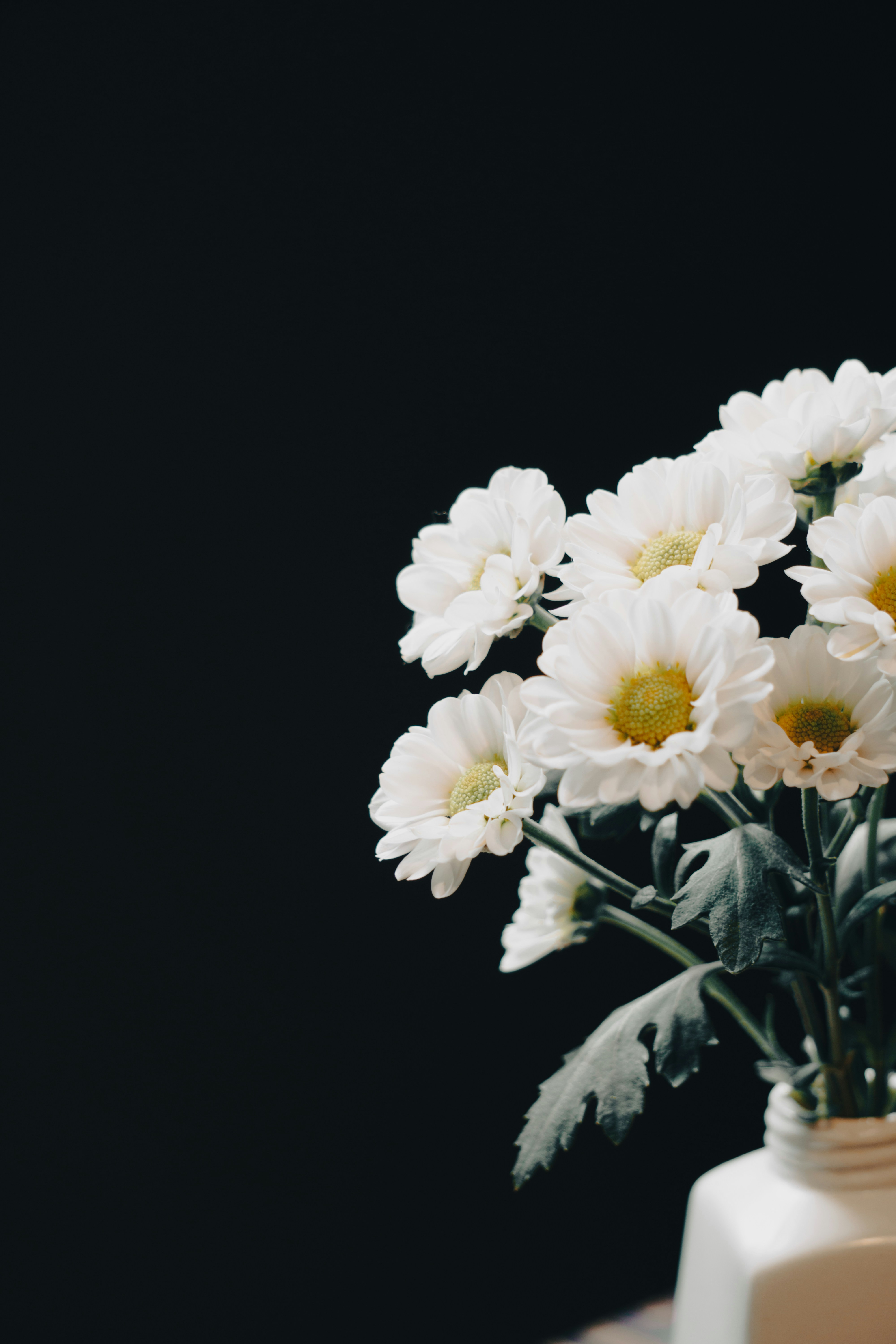 A vase filled with white flowers on top of a table photo Free Flower