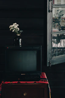 A vintage television sits atop a small wooden cabinet covered with a red cloth. A black vase holding white flowers is placed on the TV. An open window on one side allows soft light to spill into the dark room, casting shadows on the wooden walls.