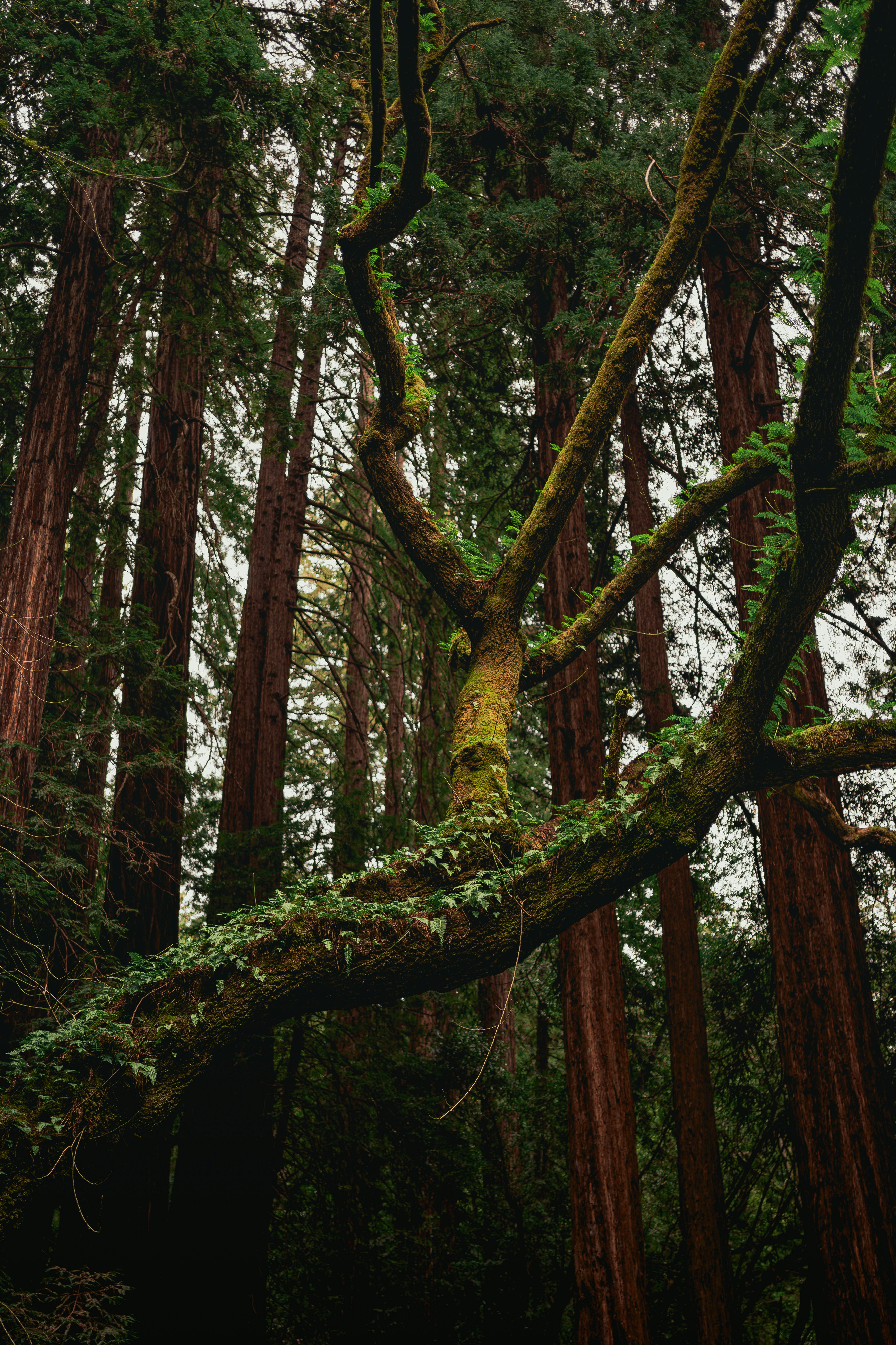 Photo by kalaniparker