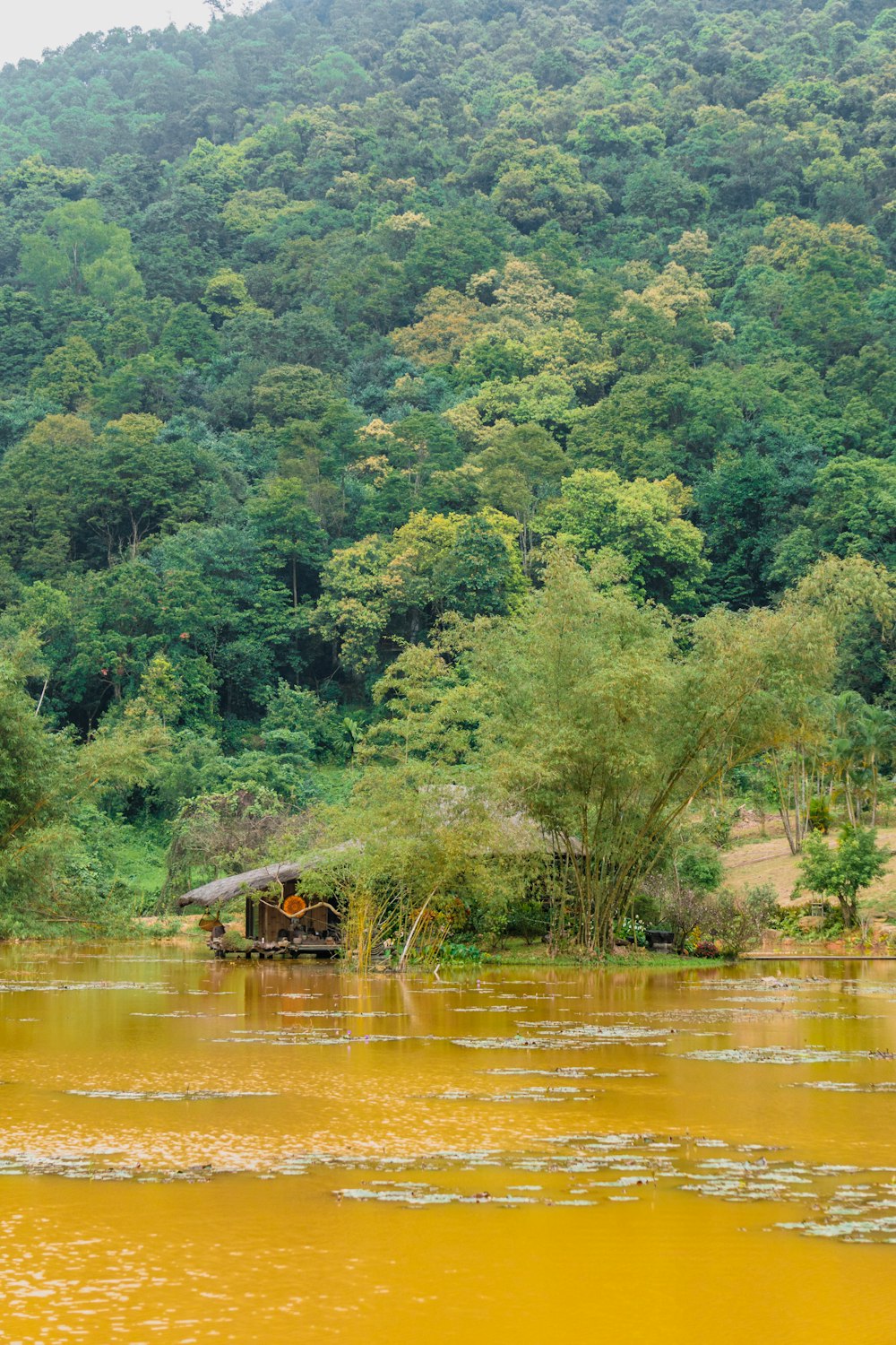 a boat is floating on a river in front of a mountain