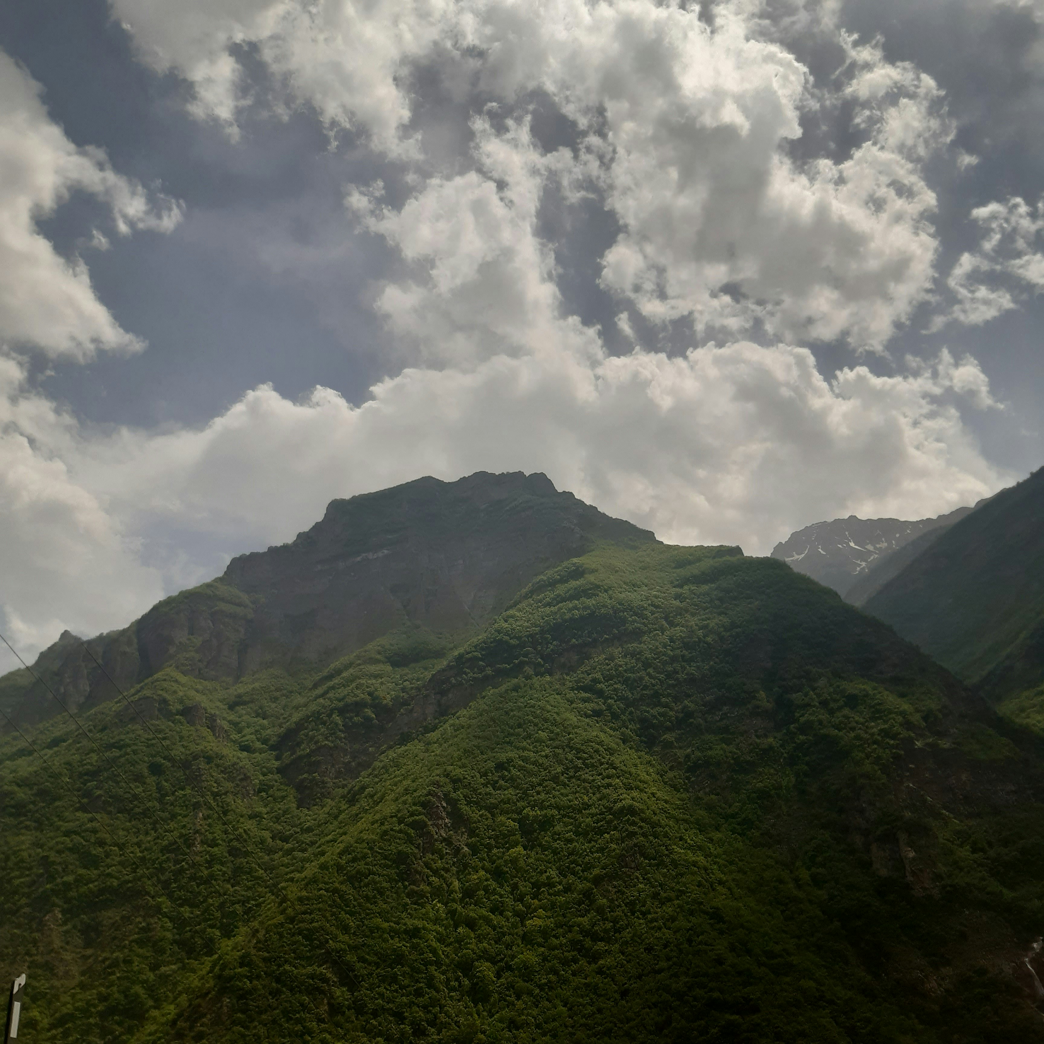 Photo by kimianemati