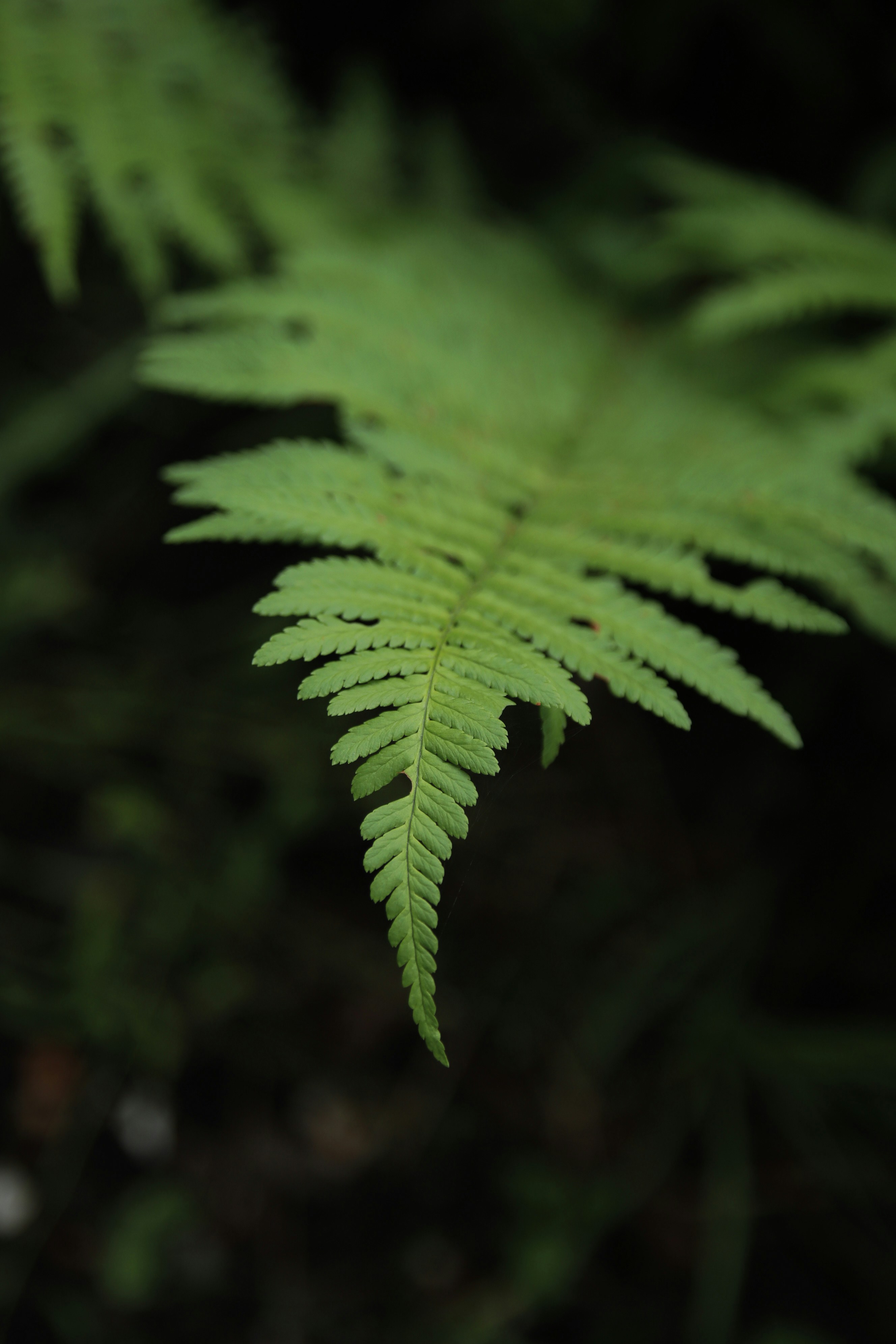 Photo by feeling_hope