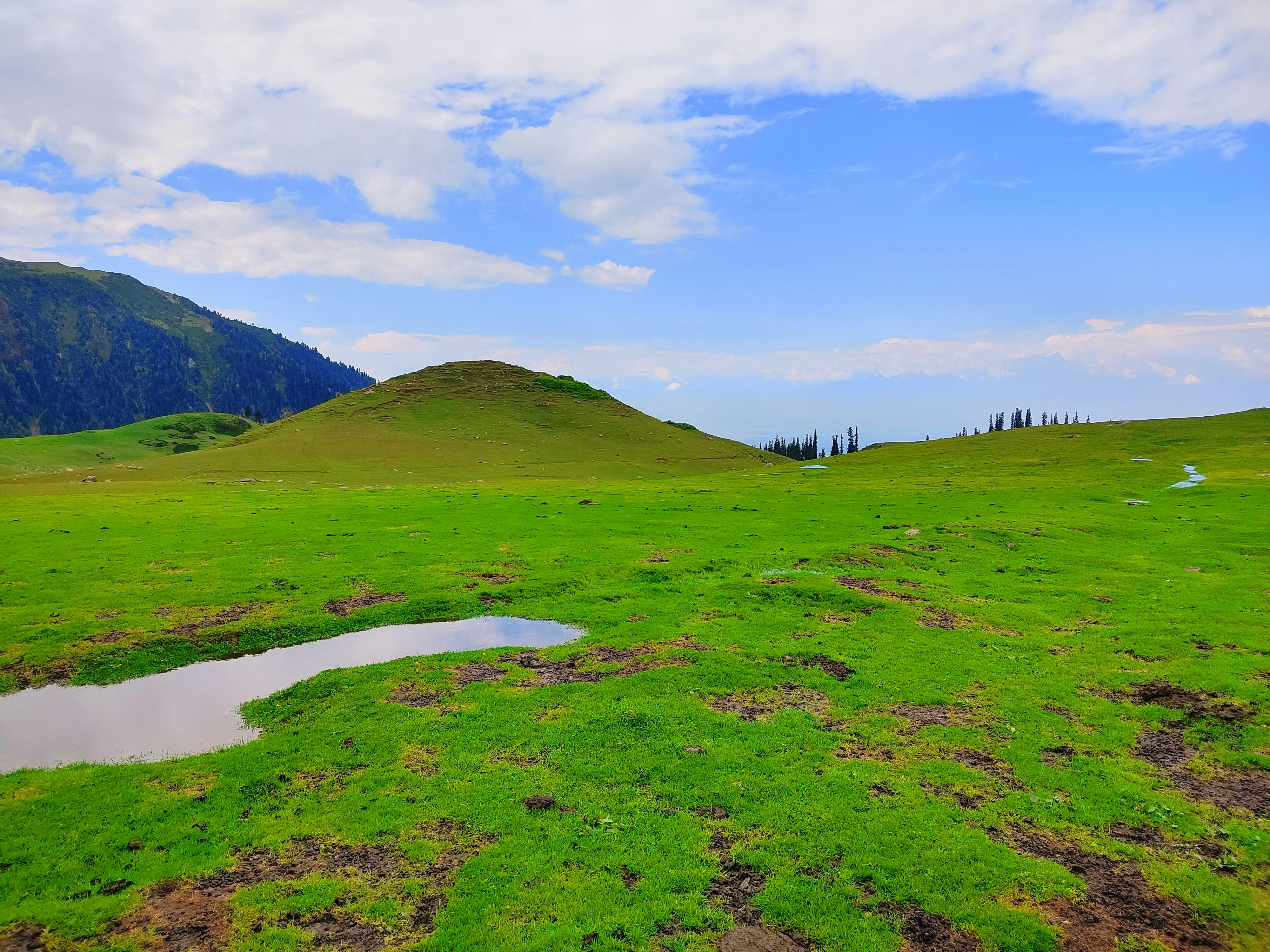 Grassland landscape with clouds in blue sky after rainfall in doodhpathri valley of Kashmir india