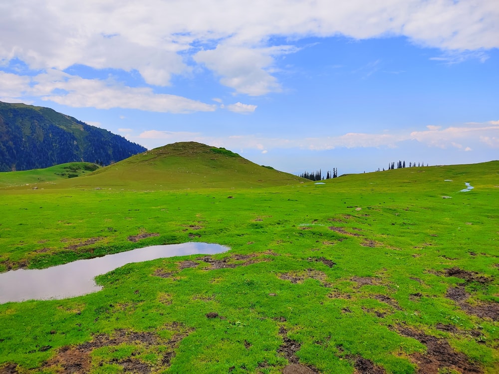 a grassy field with a small pond in the middle of it