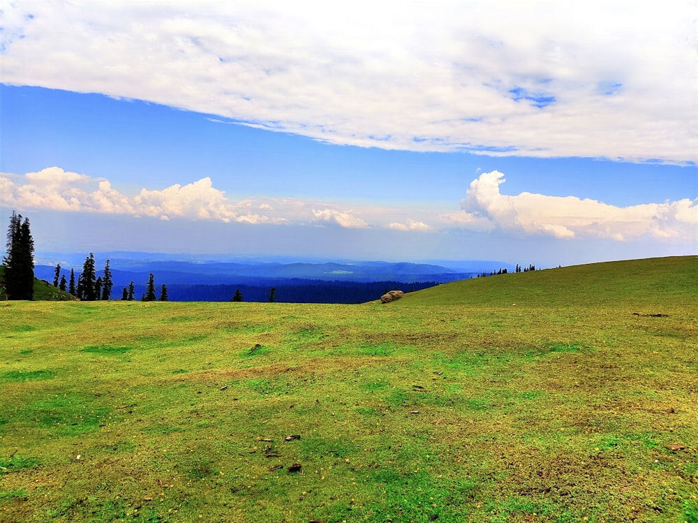 a grassy field with trees and mountains in the background