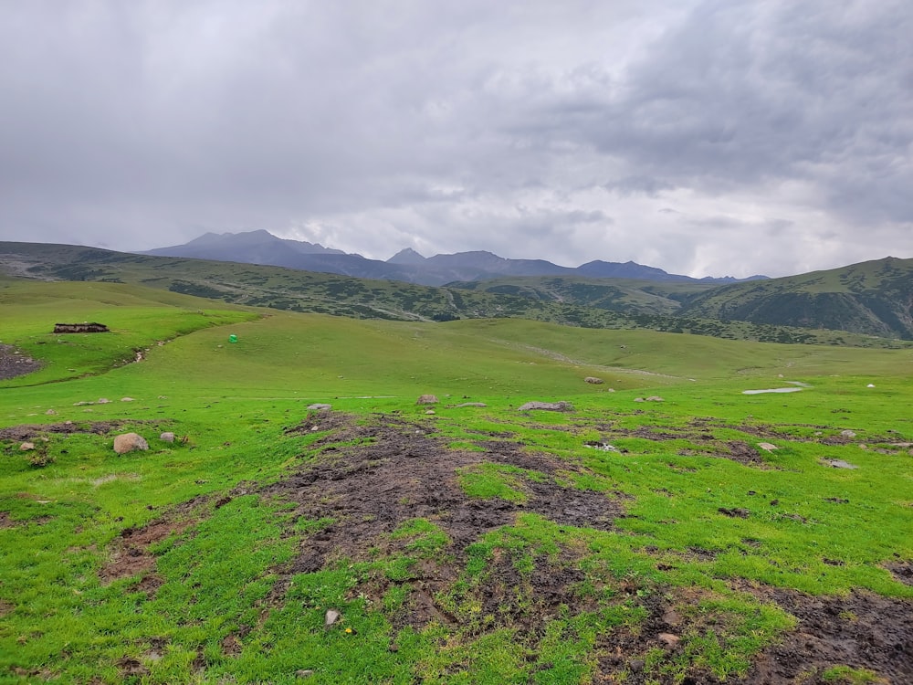 a grassy field with mountains in the background