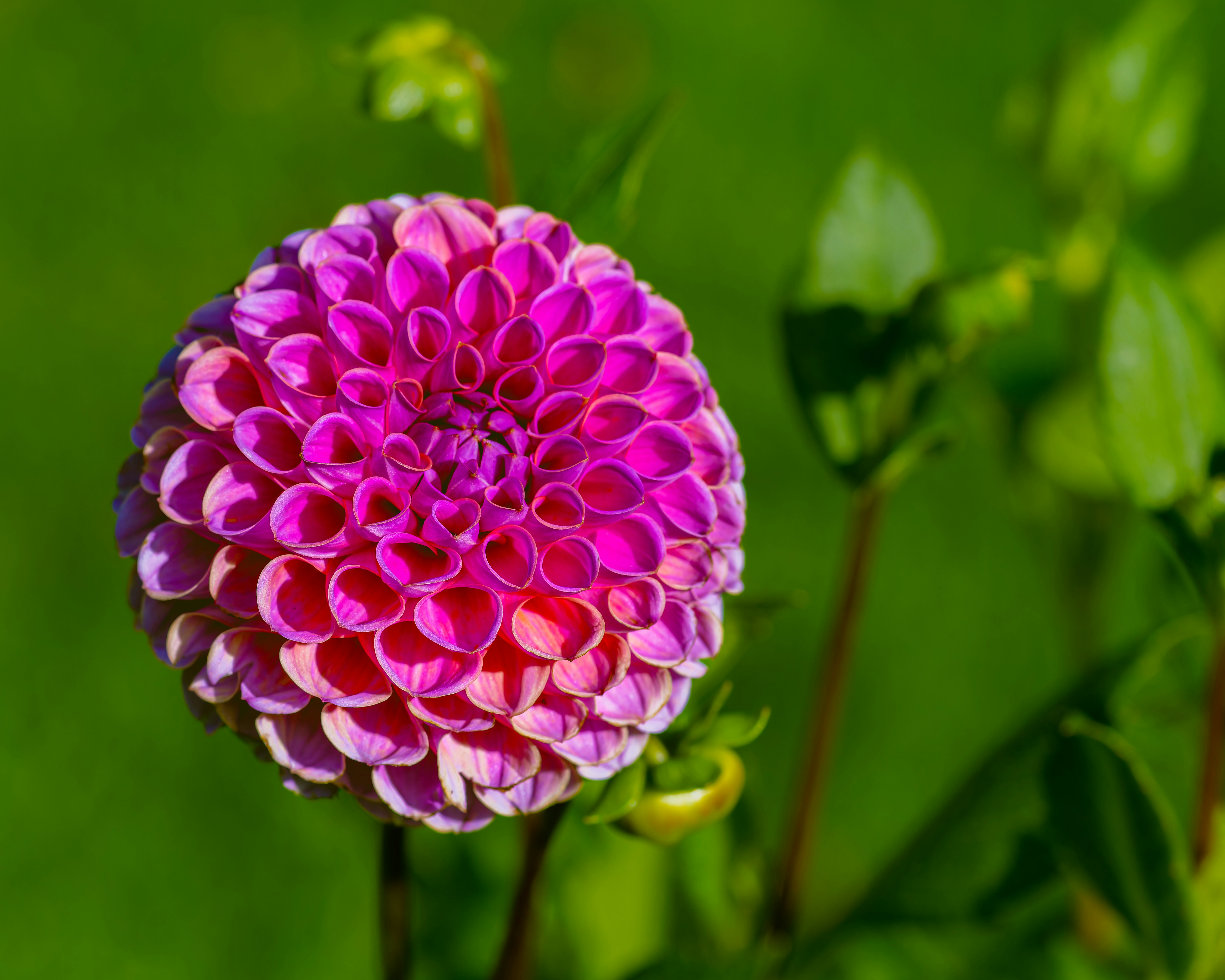 Photo by siegfriedpoepperl