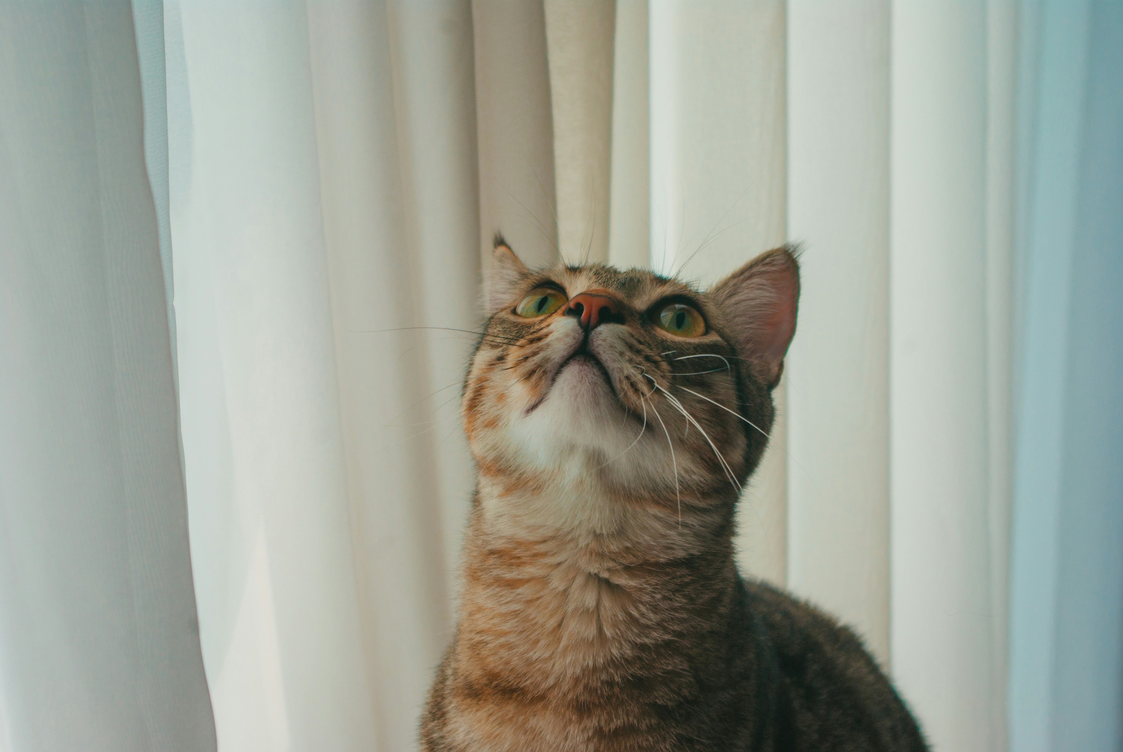 Photo by moonmoons_days