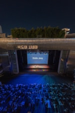 An open-air theater scene at night with a large screen displaying the name 'Stella Jang'. Rows of seats are filled with an audience watching the stage, which features a performer. Blue lighting casts patterns over the audience and stage, creating a dynamic visual effect. Trees and a few buildings are visible in the background, adding to the urban setting.