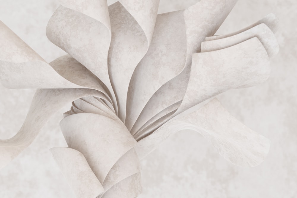 a close up of a white flower on a white background