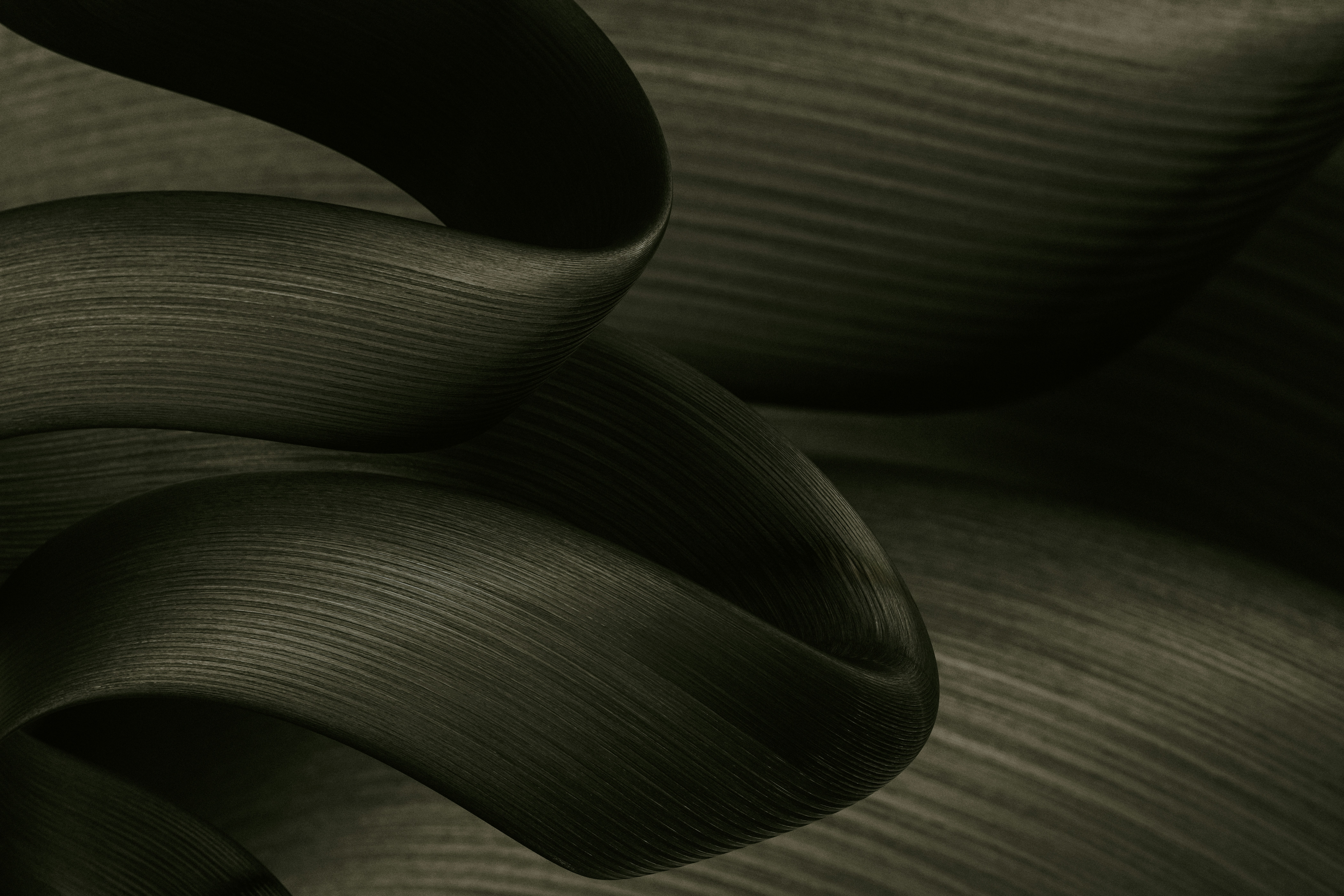 Photo by pawel_czerwinski