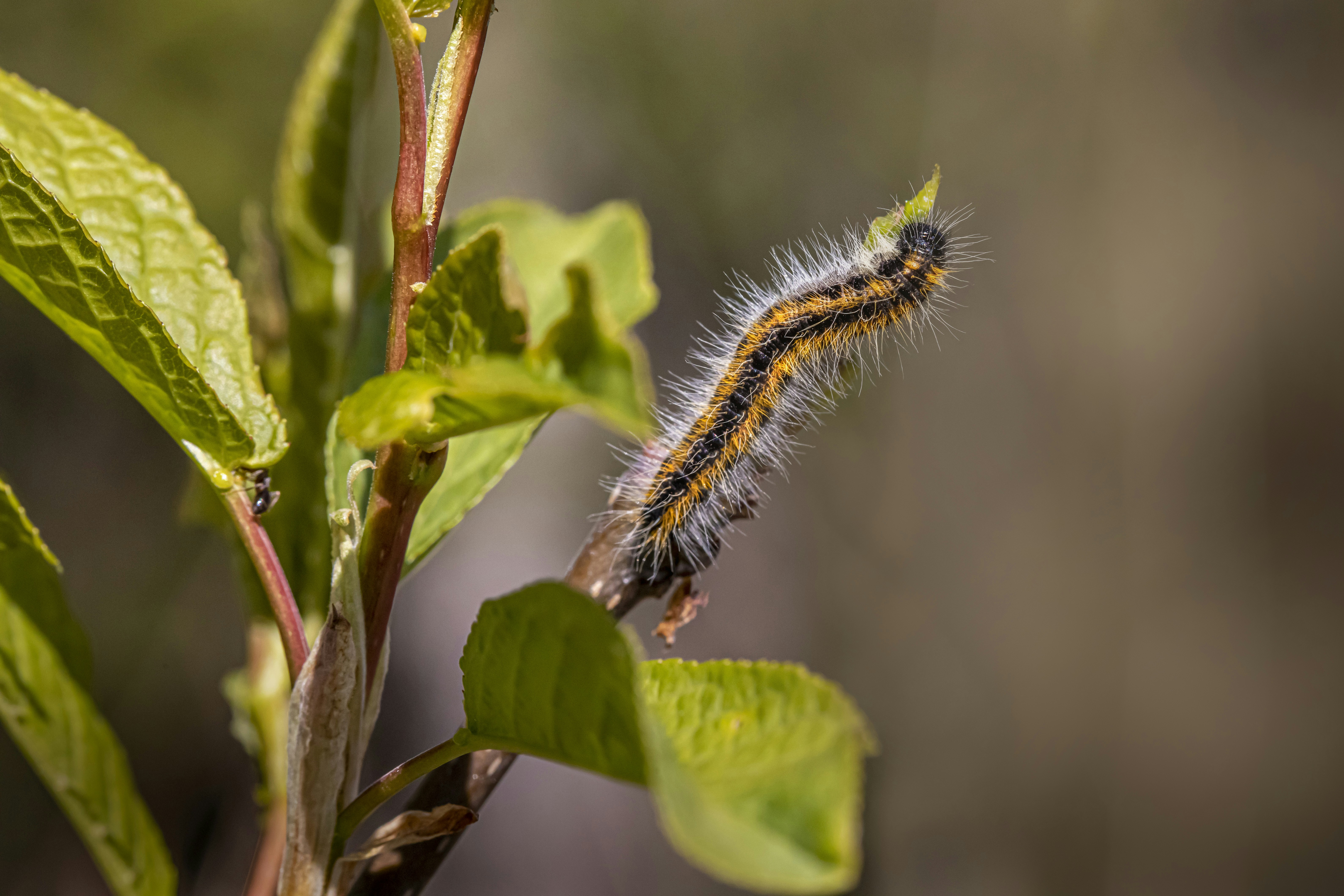 Photo by erik_karits