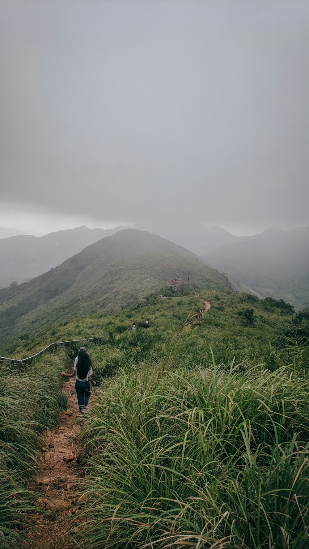 a person walking up a hill on a foggy day