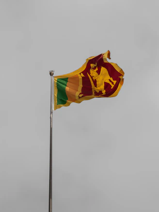 a flag flying in the wind on a cloudy day