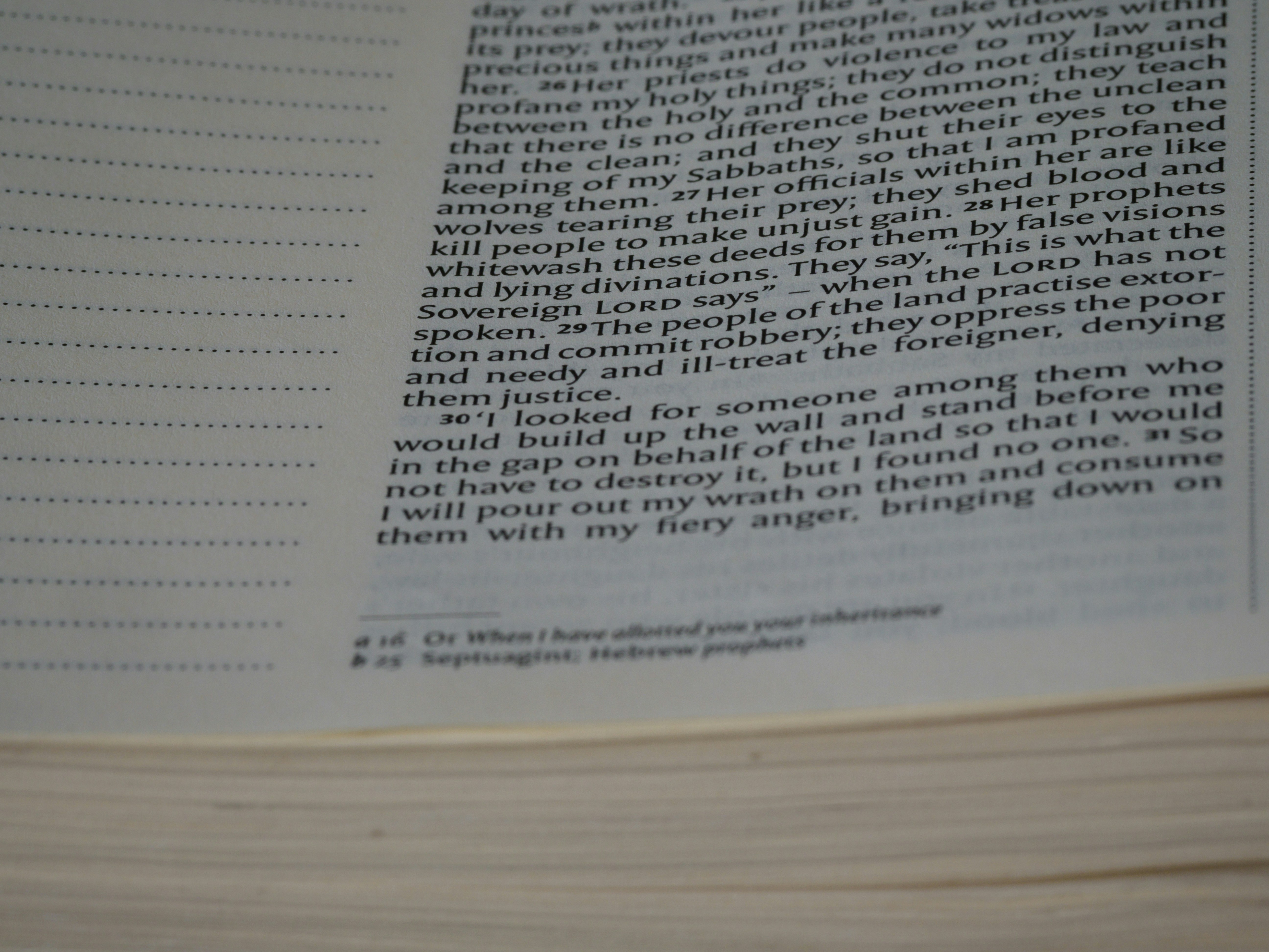 Photo by brett_jordan