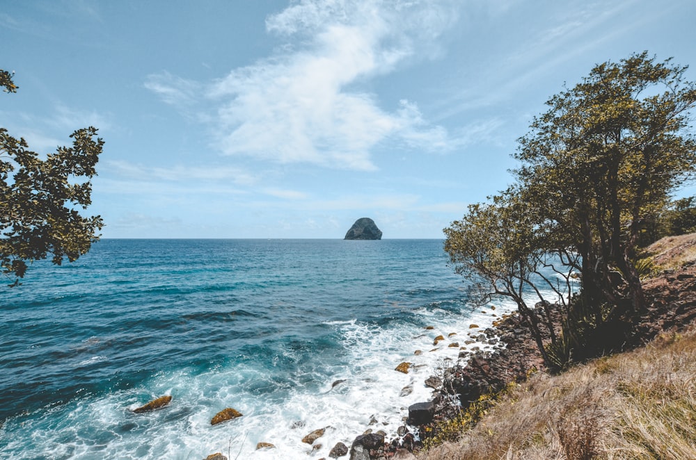 a view of the ocean from a cliff