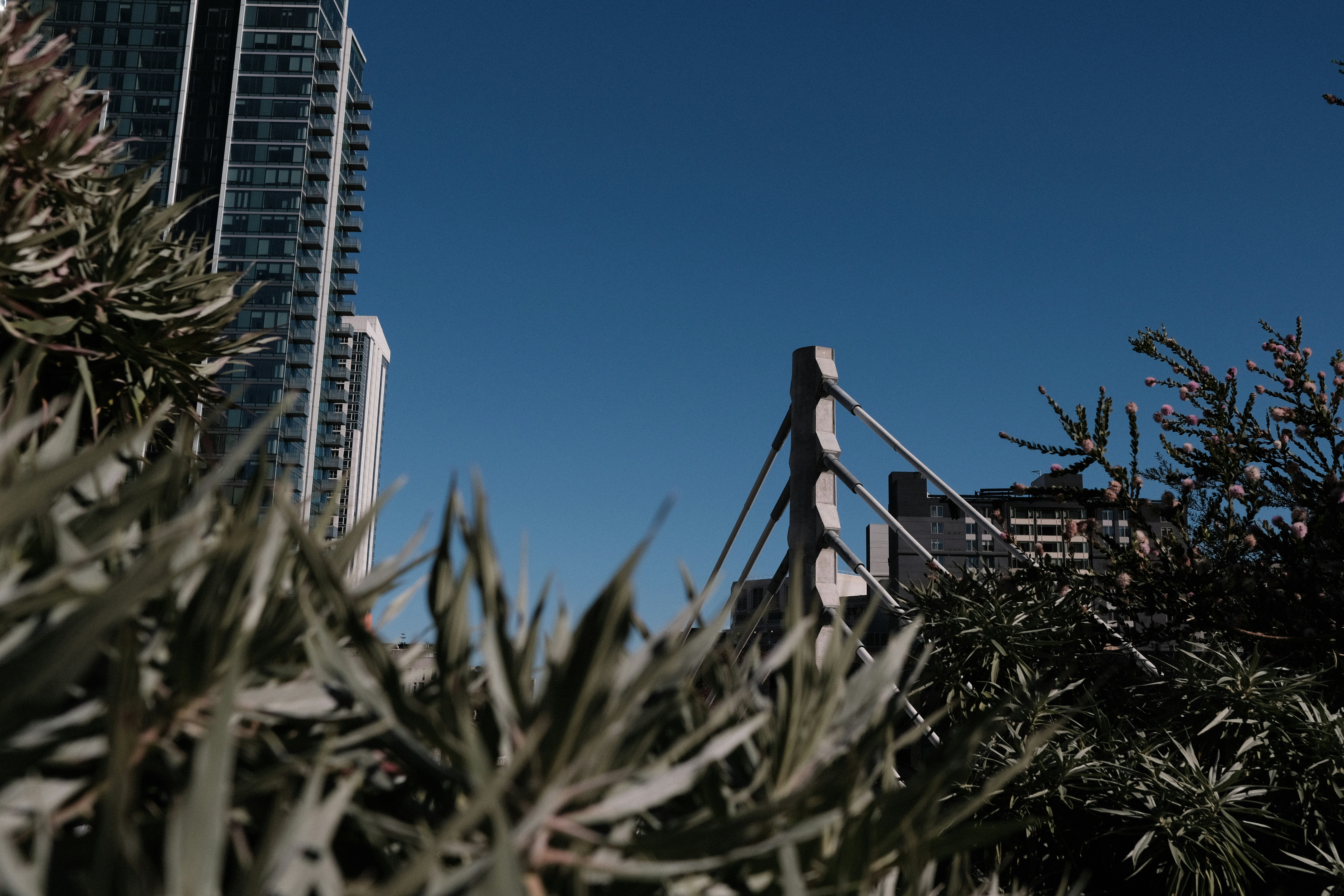 a view of a city from behind some trees