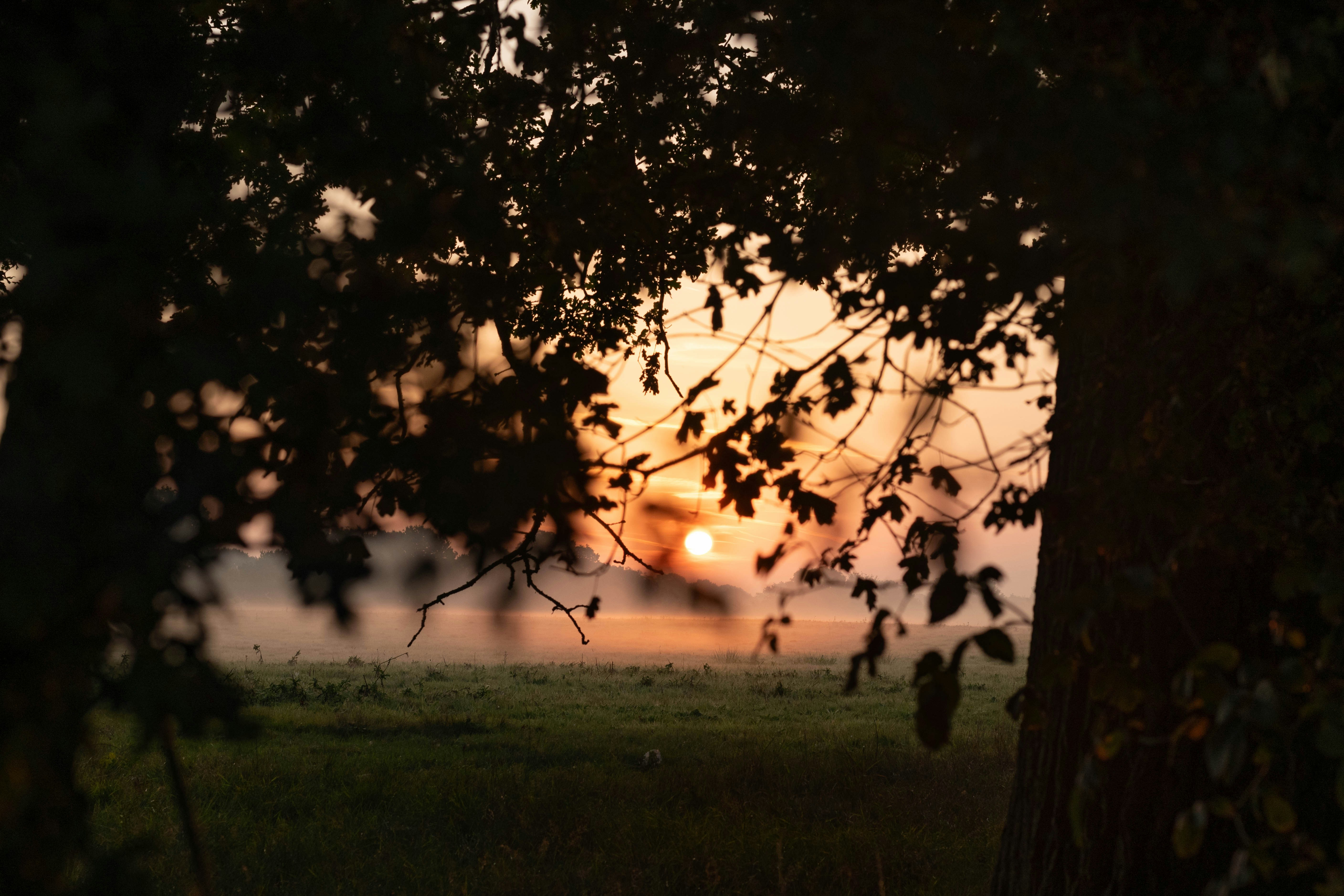 Photo by seanferiganphotography