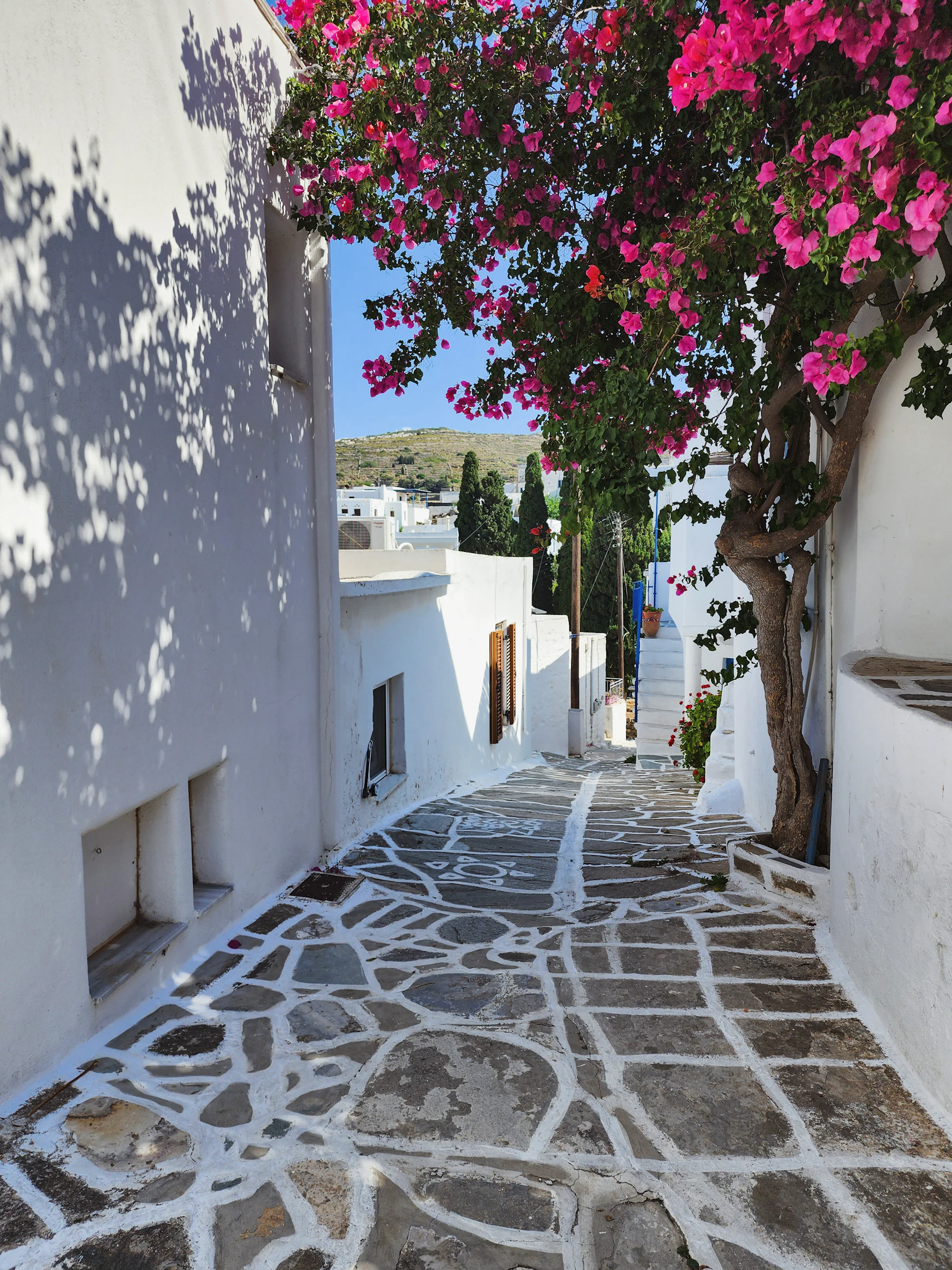 Weiße Gasse mit Blumen und blauen Details auf Paros