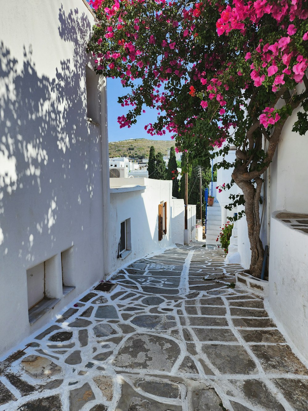 a cobblestone street with pink flowers on the trees