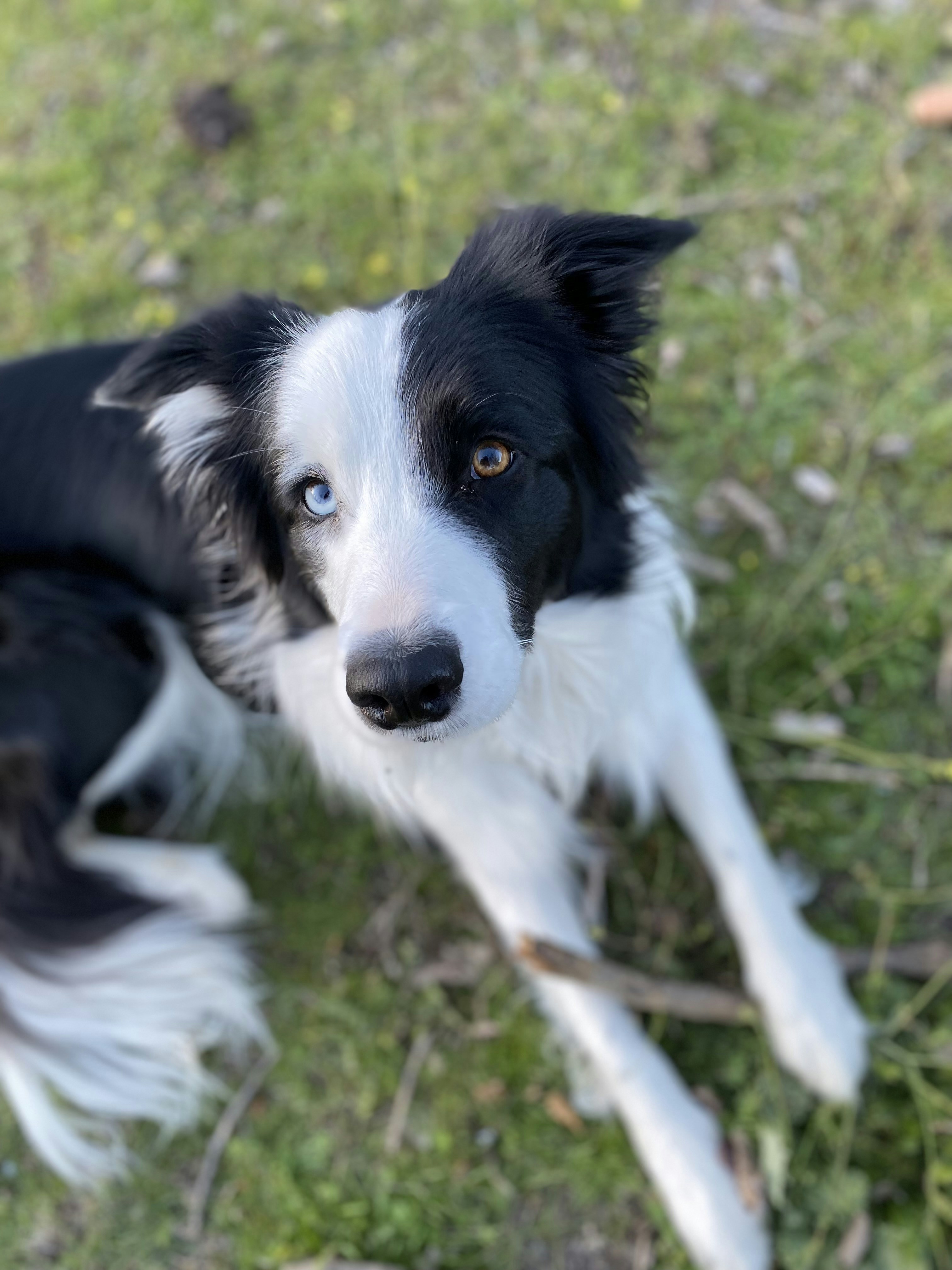 Photo by luciabrowny