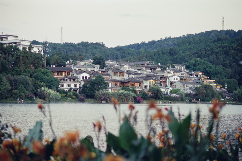 a view of a town from across a lake