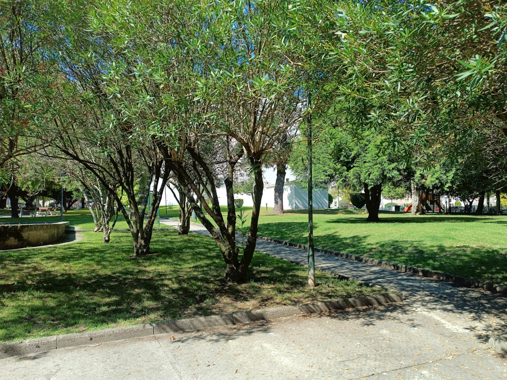 a park filled with lots of green grass and trees