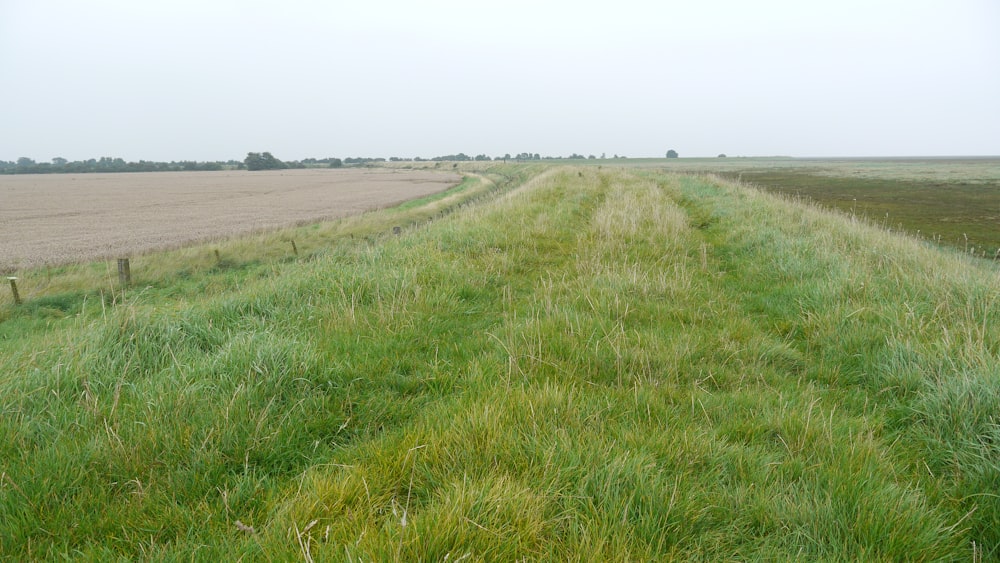 a field of grass with a fence in the middle of it