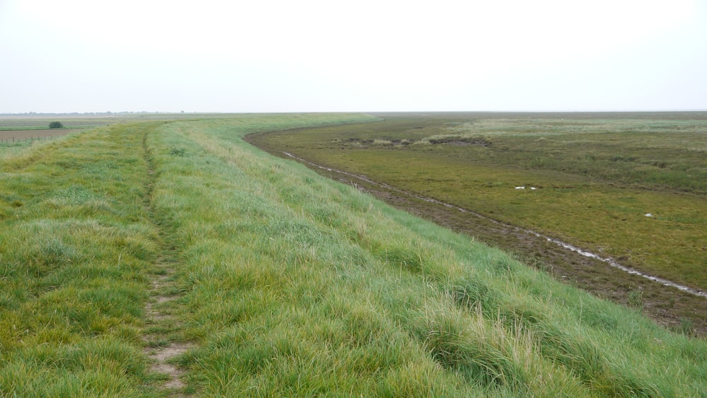 a grassy field with a path running through it