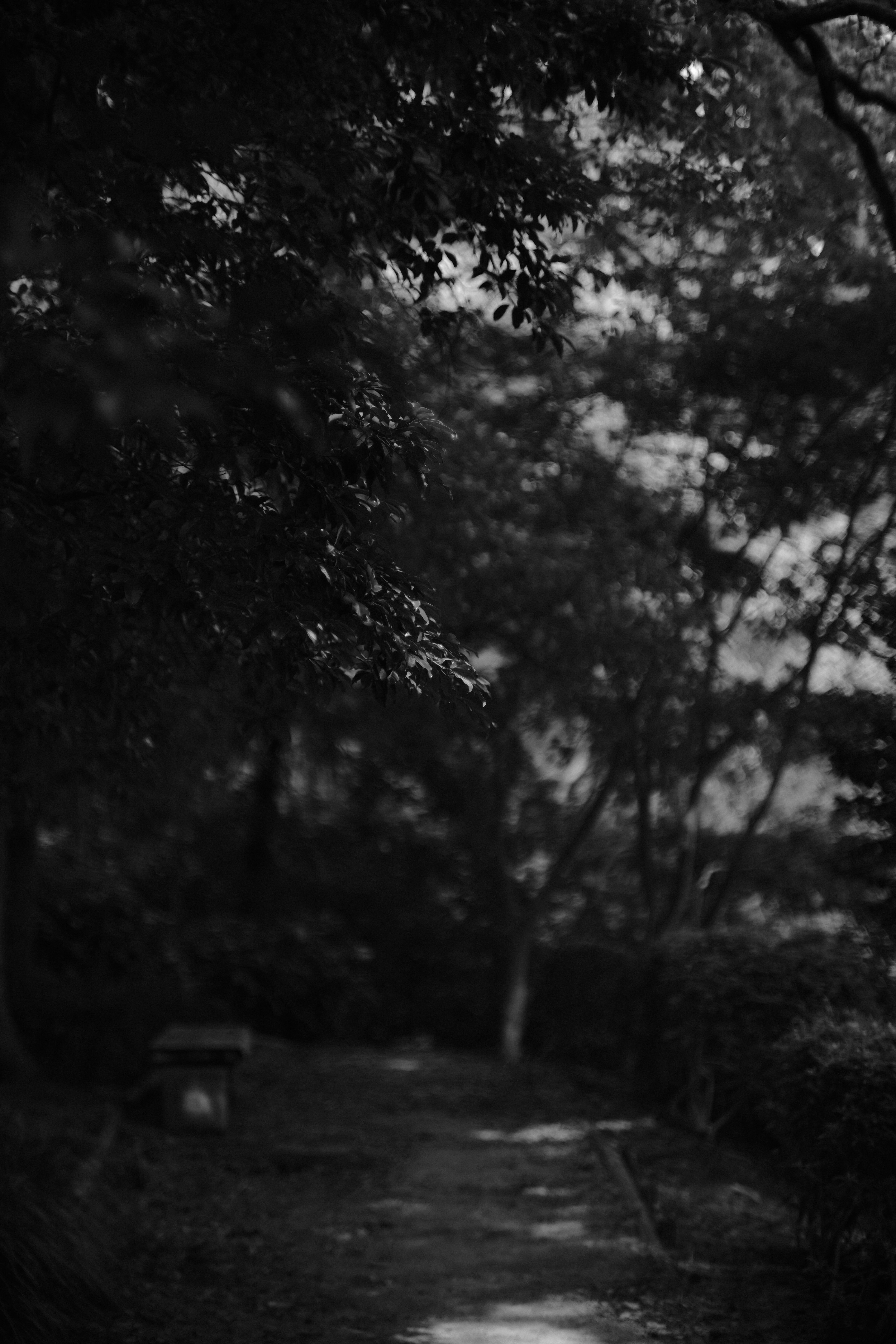 photo-1695287742732-2a1168a570d5?ixid=M3wxMjA3fDB8MXxzZWFyY2h8MTR8fHBva2VydHViZXxlbnwwfHx8fDE3NTM0MzAwODR8MA\u0026ixlib=rb-4.1.0