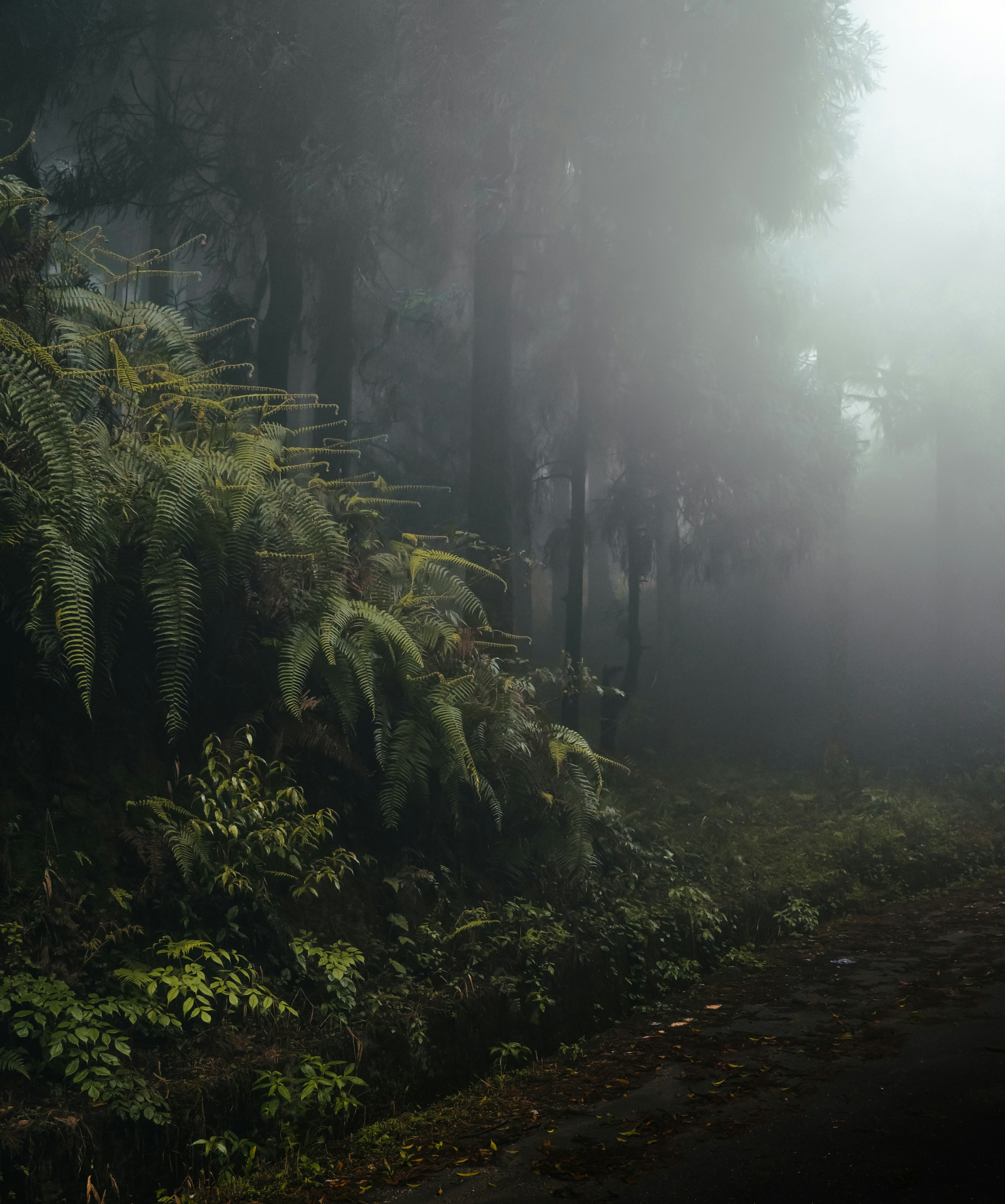 Photo by neerajkpramanik