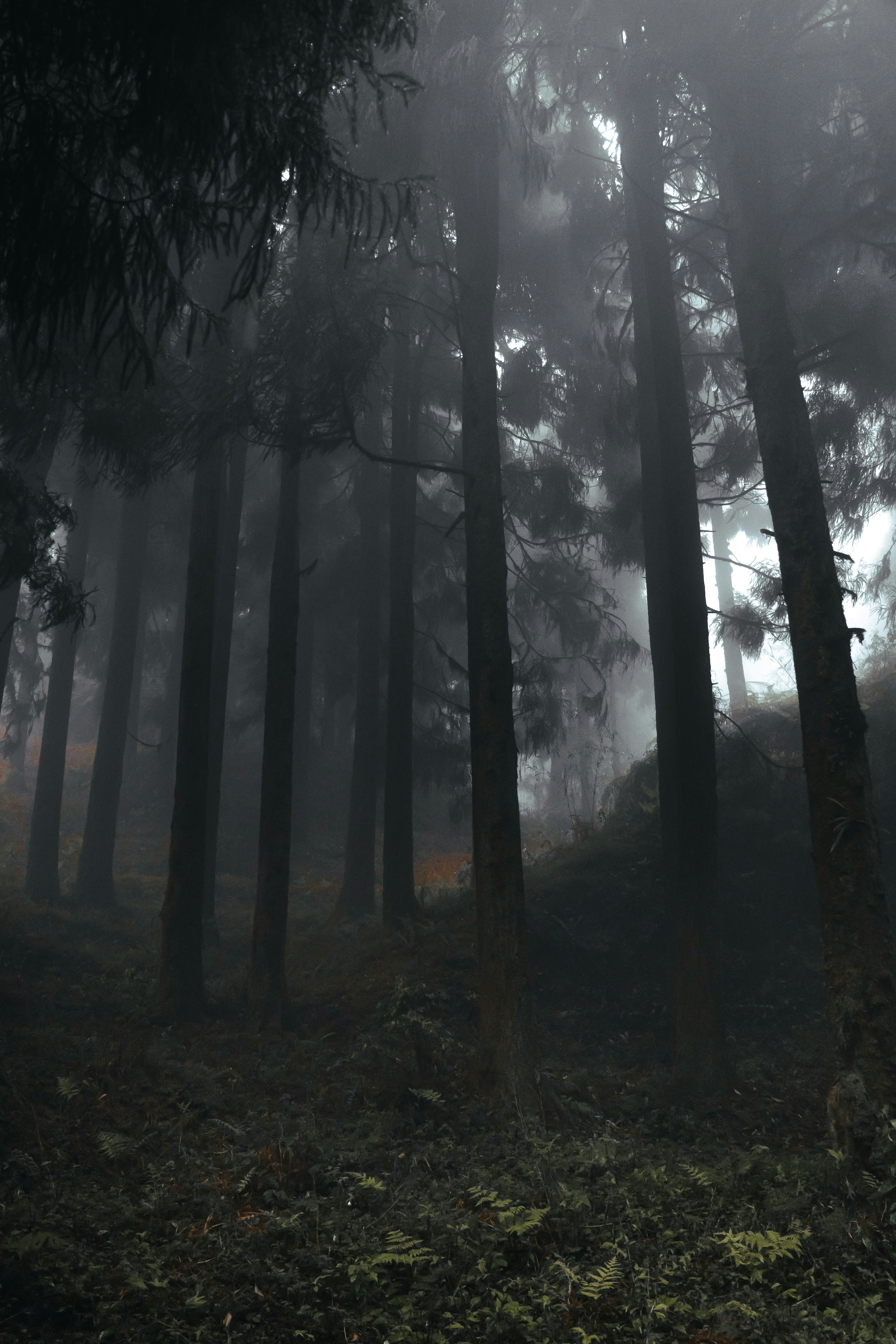 Photo by neerajkpramanik