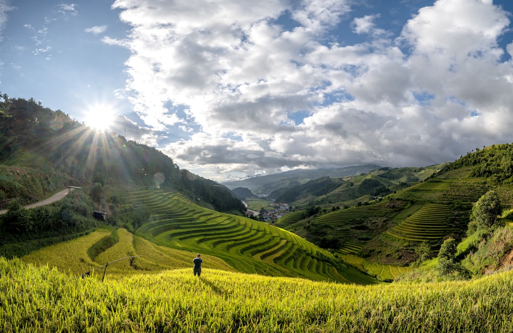 a person standing on a lush green hillside